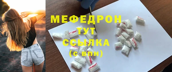 молекула духа Новозыбков