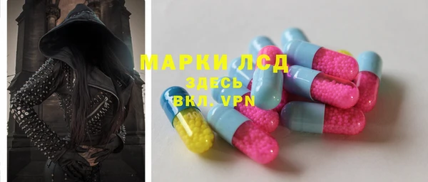 молекула духа Новозыбков