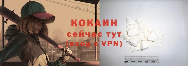 твердый Няндома