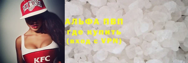 молекула духа Новозыбков