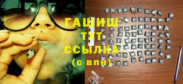 молекула духа Новозыбков
