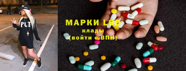 трава Новодвинск