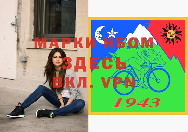 молекула духа Новозыбков