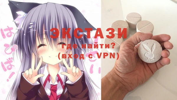 молекула духа Новозыбков