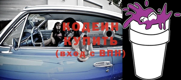 молекула духа Новозыбков