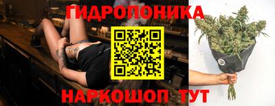 ГАЛЛЮЦИНОГЕННЫЕ ГРИБЫ Заволжье