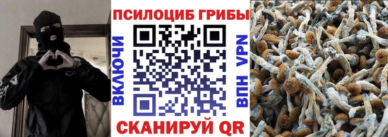 KRAKEN ссылка  цены   Ярцево  Псилоцибиновые грибы ЛСД 