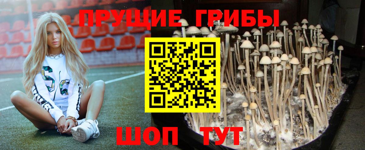 Галлюциногенные грибы мицелий Ярцево