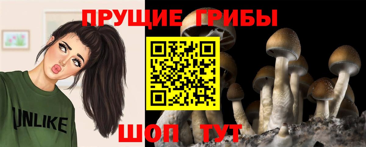 Псилоцибиновые грибы мицелий  Вход с VPN  где купить наркоту  Ярцево 